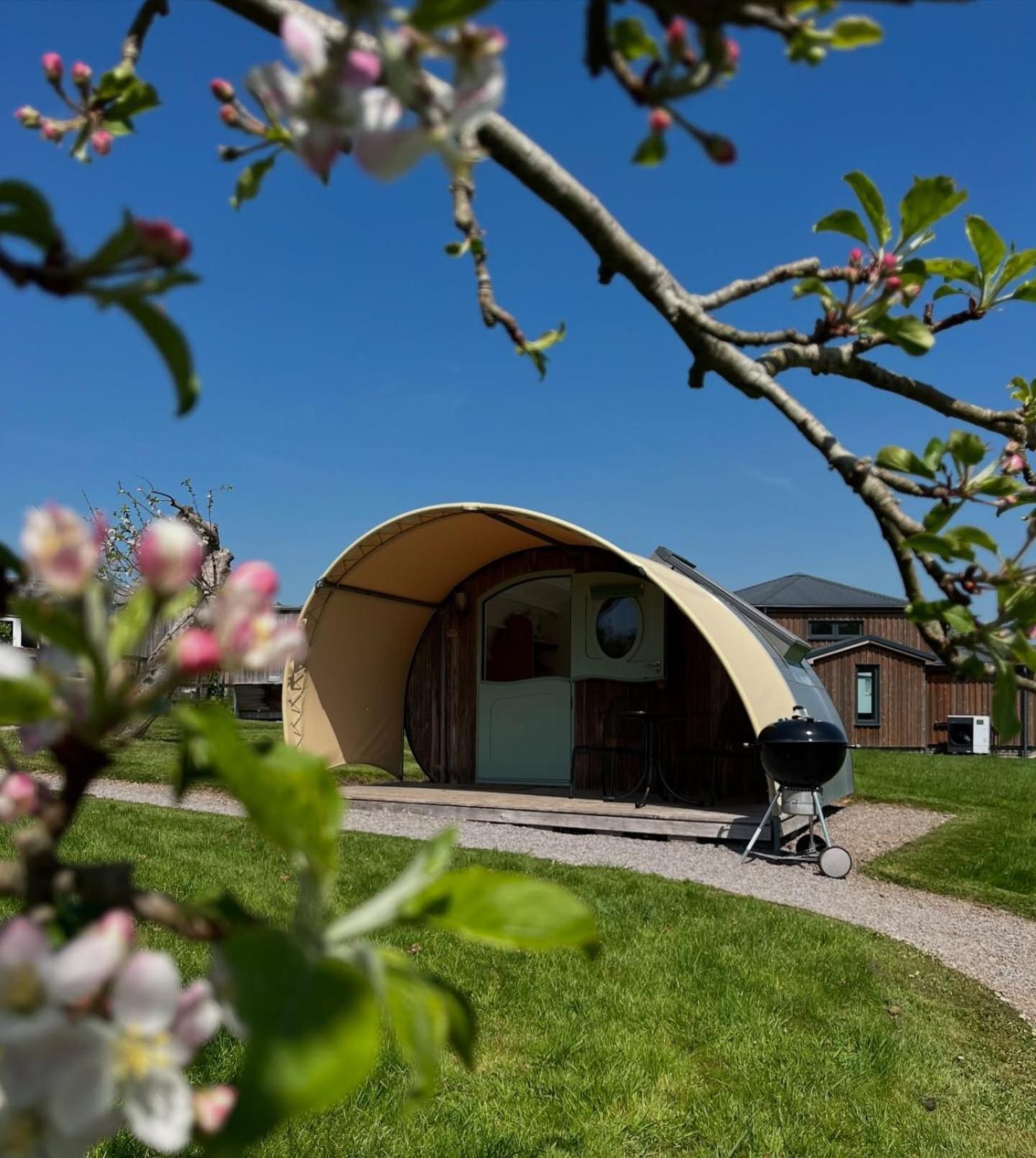 Middlewick Holiday Cottages Glastonbury Exteriér fotografie